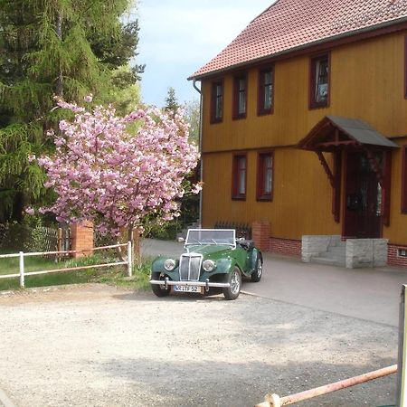 Harzer Ferienpension Timmenrode المظهر الخارجي الصورة