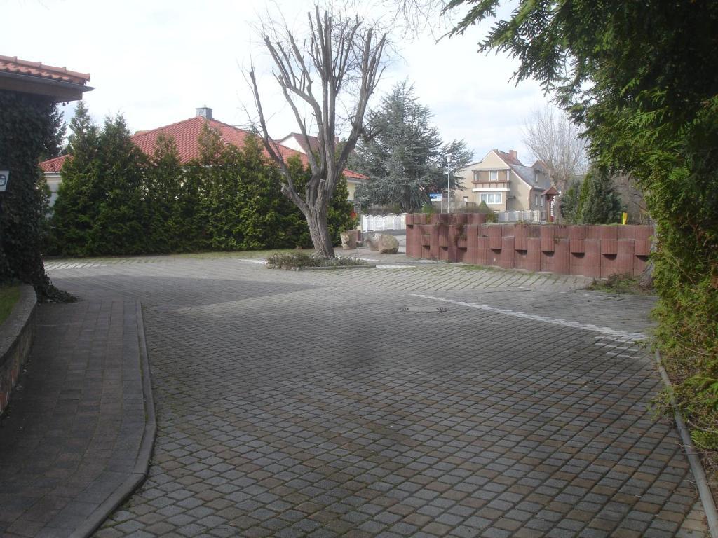 Harzer Ferienpension Timmenrode المظهر الخارجي الصورة